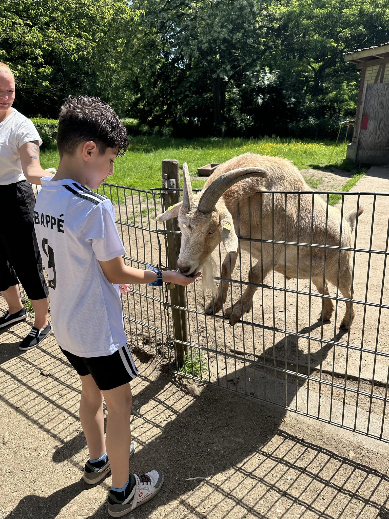 Ziegenfüttern3.jpg